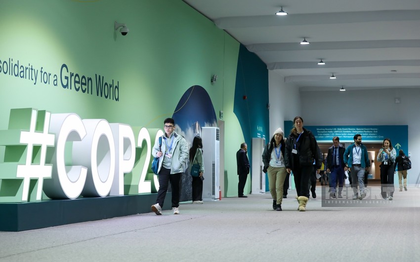 COP29-un səkkizinci günü: Qonaqlar nə deyir? (FOTO)