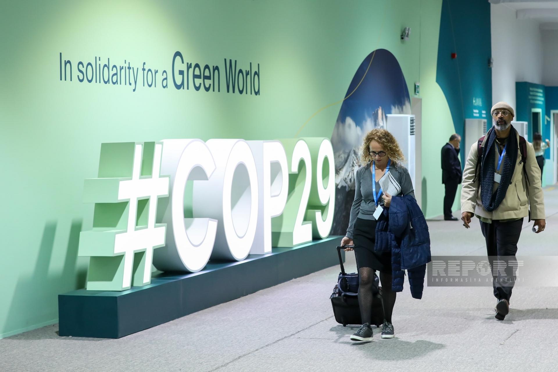 COP29-un səkkizinci günü: Qonaqlar nə deyir? (FOTO)