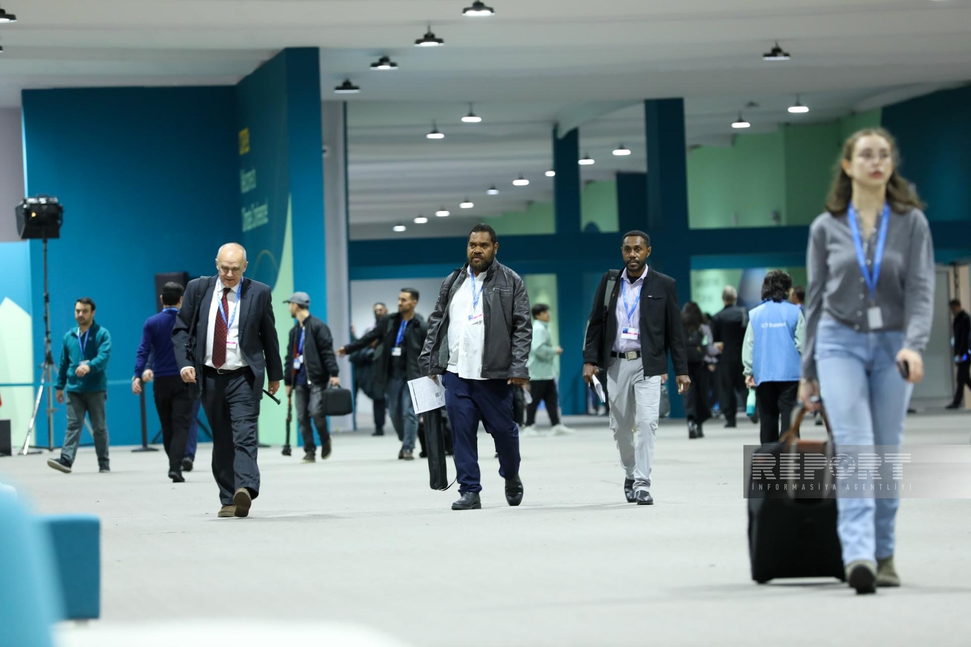 COP29-un səkkizinci günü: Qonaqlar nə deyir? (FOTO)