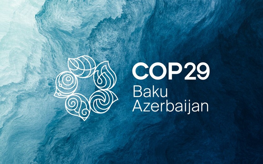 UNEP rəhbəri: COP29-da quracağımız gələcəyin təməli qoyulub