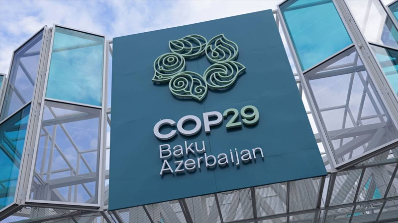 COP29 ərəfəsində Azərbaycana qarşı təbliğat aparacaq veb-səhifələr yaradılıb - HESABAT